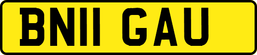BN11GAU