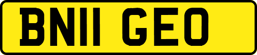 BN11GEO