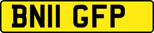 BN11GFP