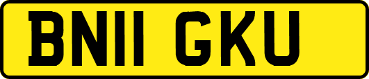BN11GKU