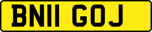 BN11GOJ