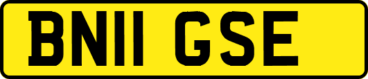 BN11GSE