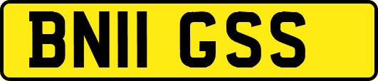 BN11GSS