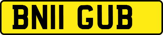 BN11GUB