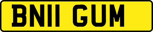 BN11GUM