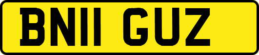 BN11GUZ