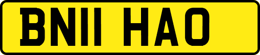 BN11HAO
