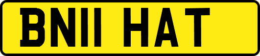 BN11HAT