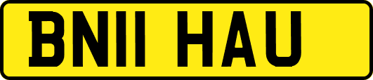 BN11HAU