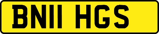 BN11HGS