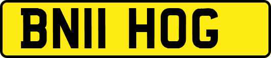 BN11HOG