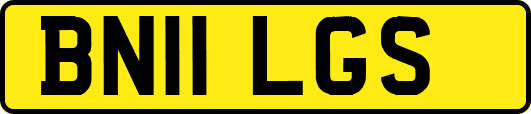 BN11LGS