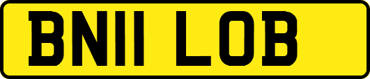 BN11LOB