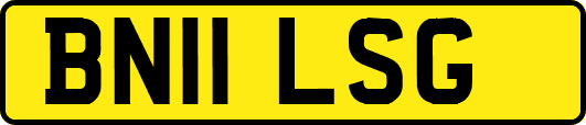 BN11LSG