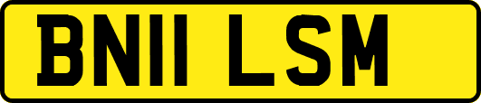 BN11LSM