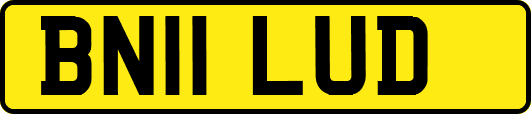BN11LUD