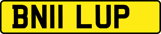 BN11LUP