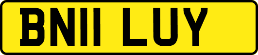 BN11LUY