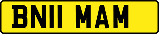 BN11MAM