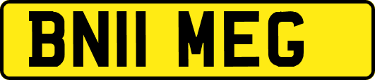 BN11MEG