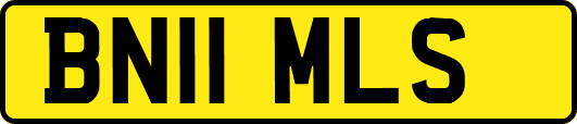 BN11MLS