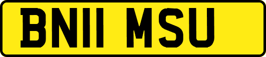 BN11MSU