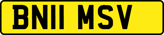 BN11MSV