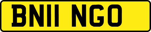 BN11NGO