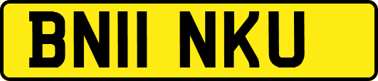 BN11NKU
