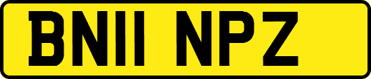 BN11NPZ
