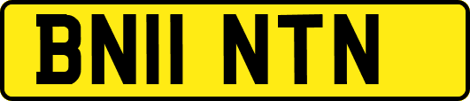 BN11NTN