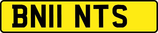 BN11NTS