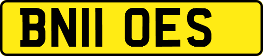 BN11OES