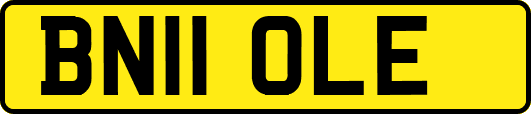BN11OLE