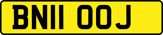 BN11OOJ
