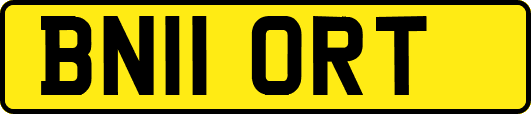BN11ORT