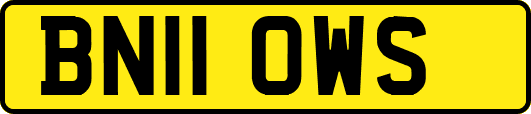 BN11OWS