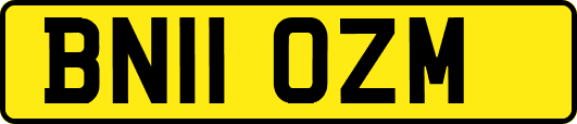 BN11OZM