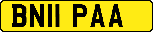 BN11PAA
