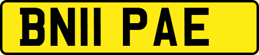 BN11PAE