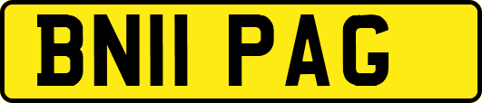 BN11PAG