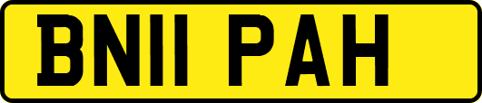 BN11PAH