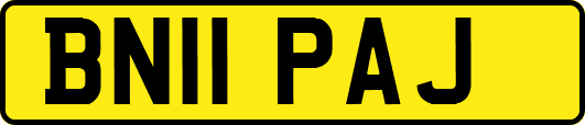 BN11PAJ