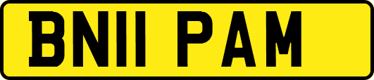 BN11PAM
