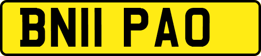 BN11PAO