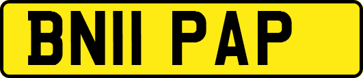 BN11PAP
