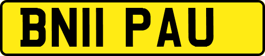 BN11PAU