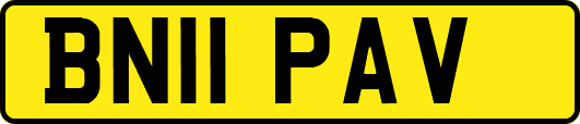 BN11PAV