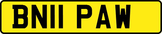 BN11PAW