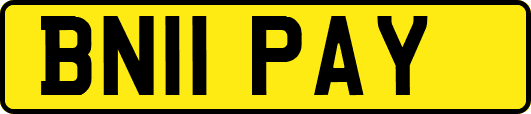 BN11PAY